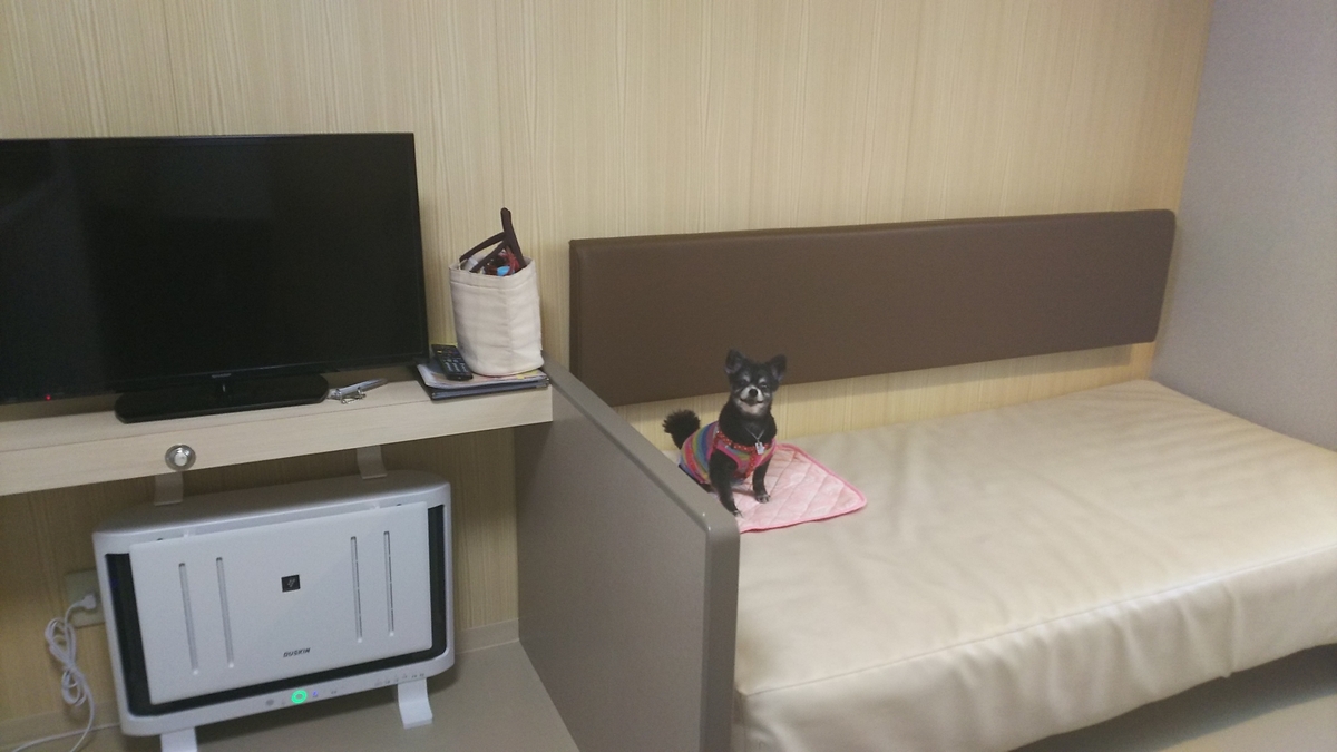 f:id:keksyh:20190713072131j:plain
