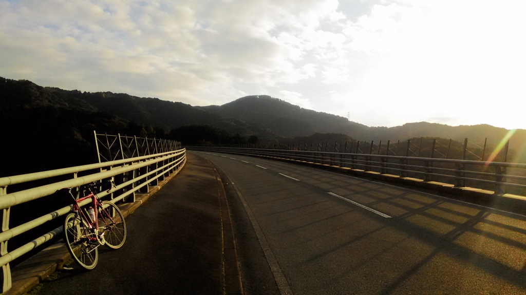 自転車乗って海を見に行く