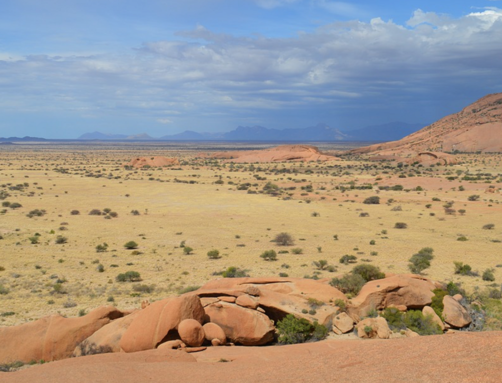 f:id:kellogg2005:20180620121628p:plain f:id:kellogg2005:20180620121628p:plain