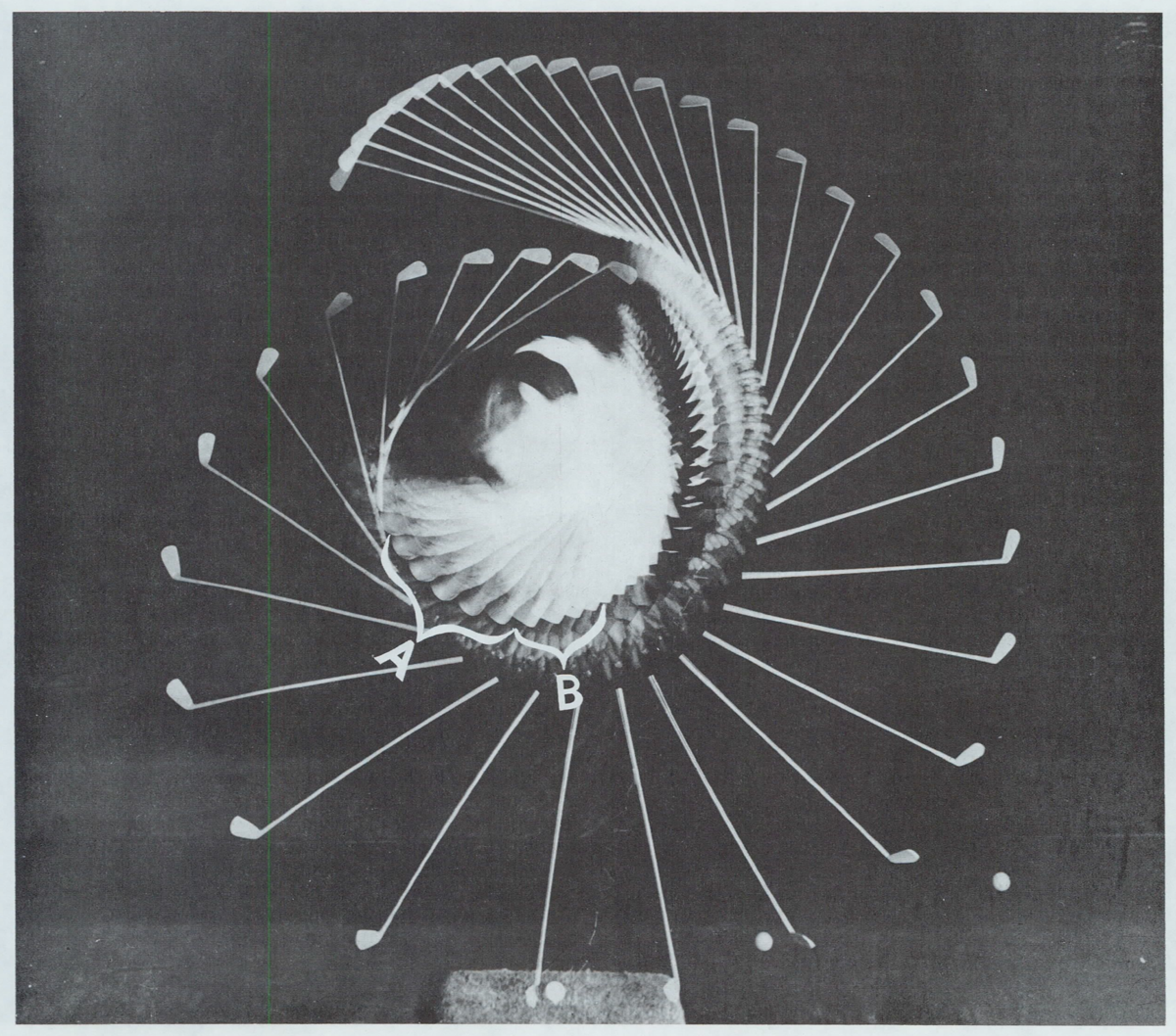 f:id:kellogg2005:20190424142846p:plain