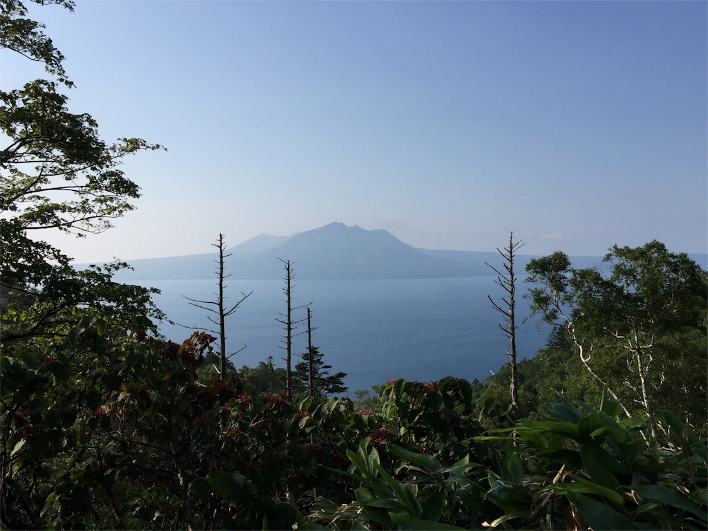 f:id:kelpinist:20180128212935j:image