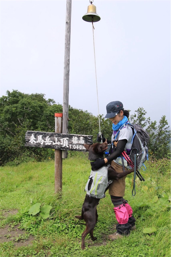 f:id:kelpinist:20180129214804j:image