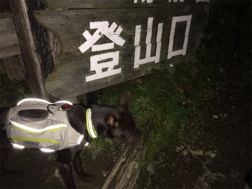 f:id:kelpinist:20180131201024j:image