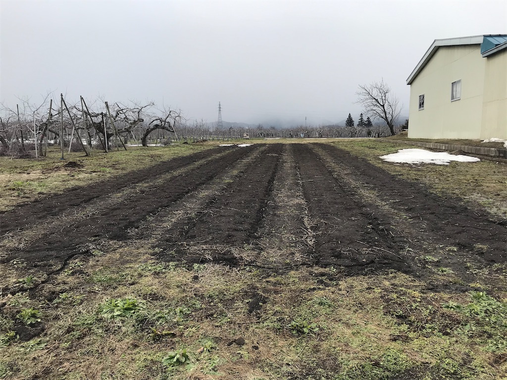 毛豆菜園 緑八 みどりや の日記