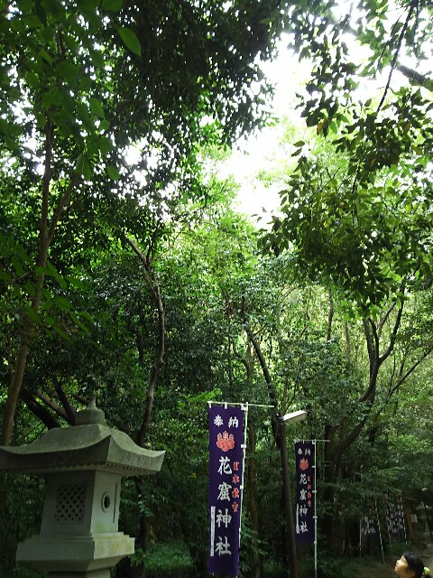 f:id:kemikotta:20160806010543j:image f:id:kemikotta:20160806010543j:image