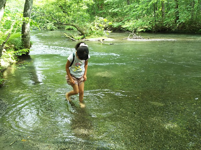 f:id:kemikotta:20160813115925j:image f:id:kemikotta:20160813115925j:image