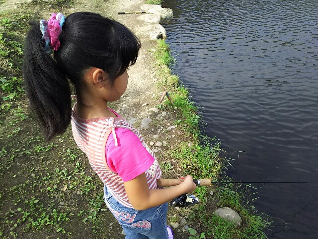 f:id:kemikotta:20161007081115j:image f:id:kemikotta:20161007081115j:image