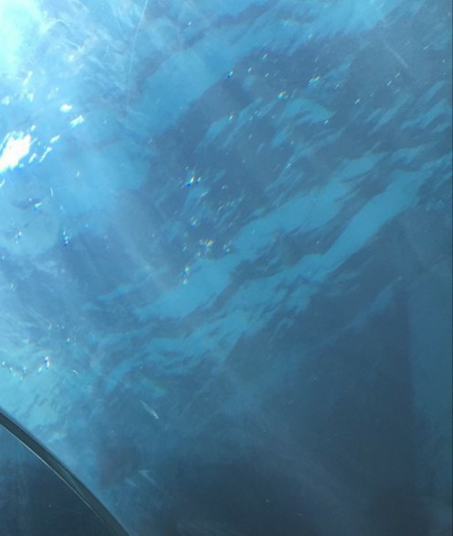 f:id:kemikotta:20200311172657j:image