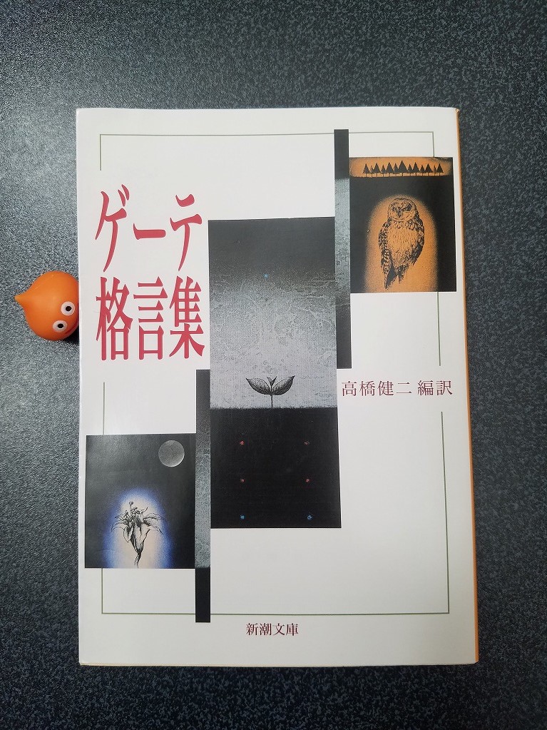 ゲーテ 確かにその通り ゲーテ格言集で1番好きな言葉 おきらく けみすけブログ