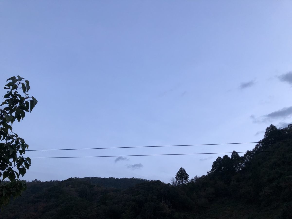 f:id:kemonomichiyoushii:20211105171423j:plain