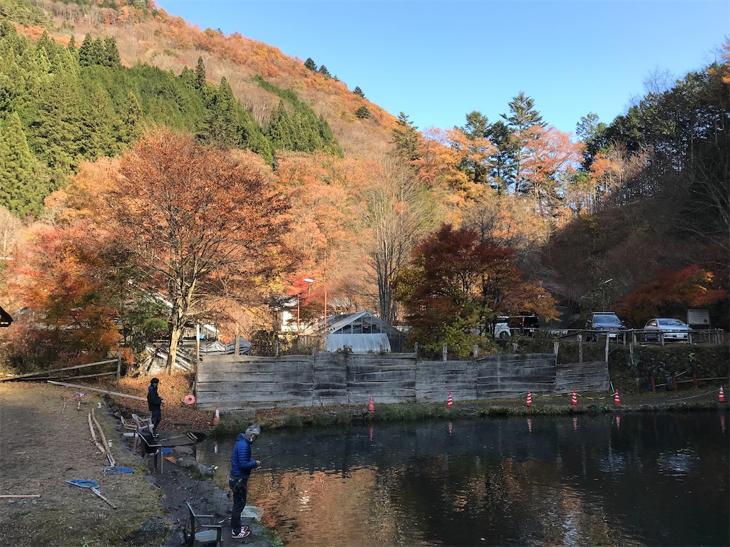 f:id:kemosake:20201122125021j:image