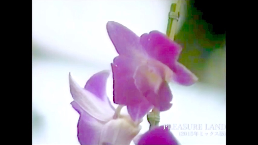 f:id:kemoxxxxx:20151107223203j:image f:id:kemoxxxxx:20151107223203j:image