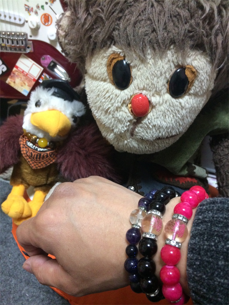 f:id:kemoxxxxx:20161114223225j:image