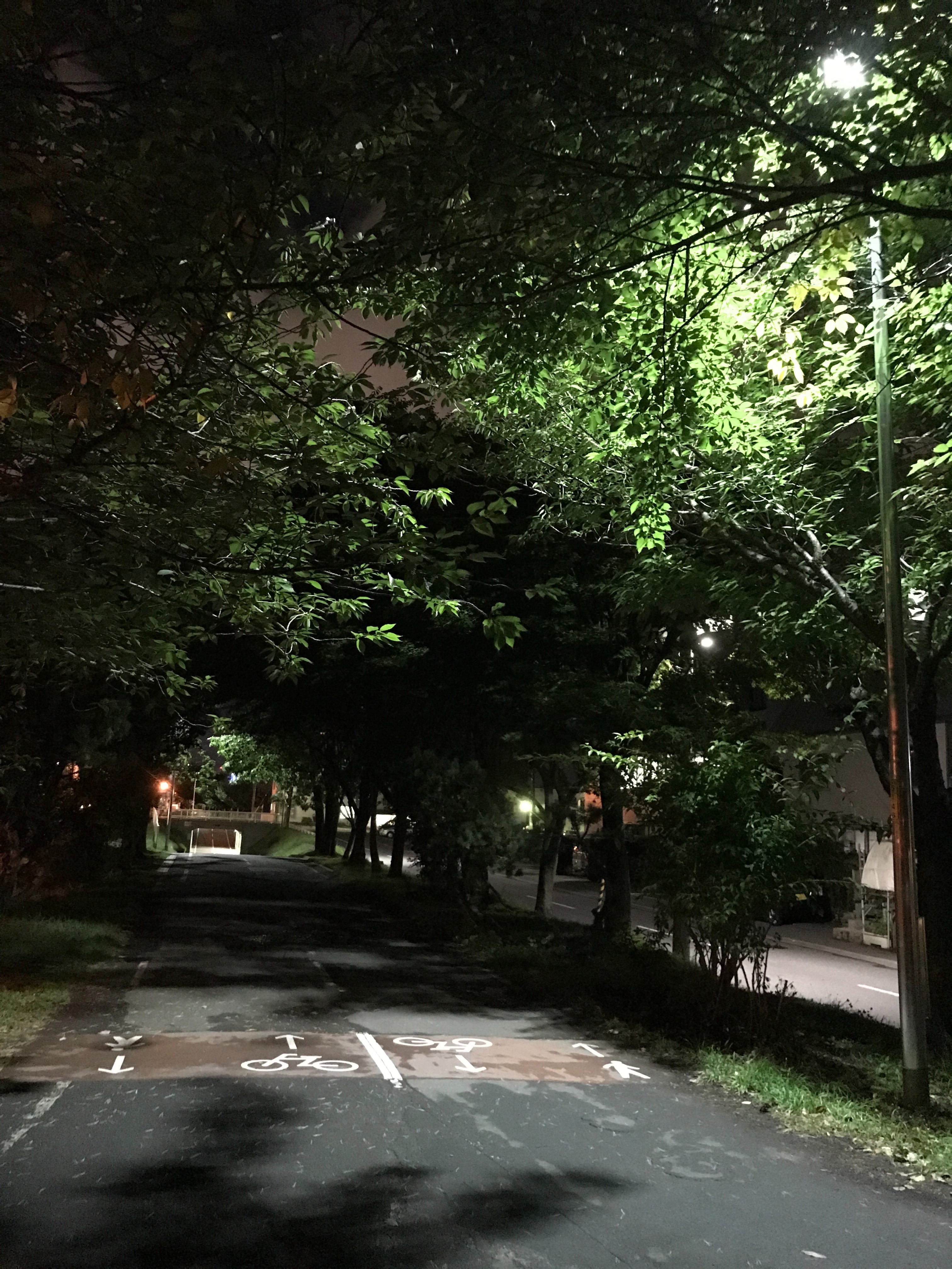 f:id:kemoxxxxx:20170918195201j:image f:id:kemoxxxxx:20170918195201j:image