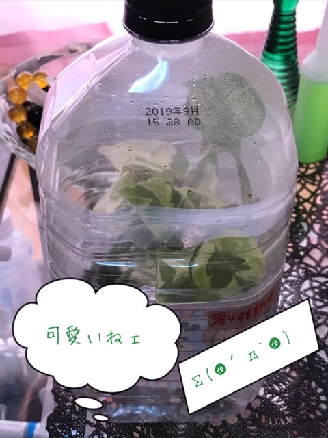 f:id:kemoxxxxx:20180108052206j:image f:id:kemoxxxxx:20180108052206j:image