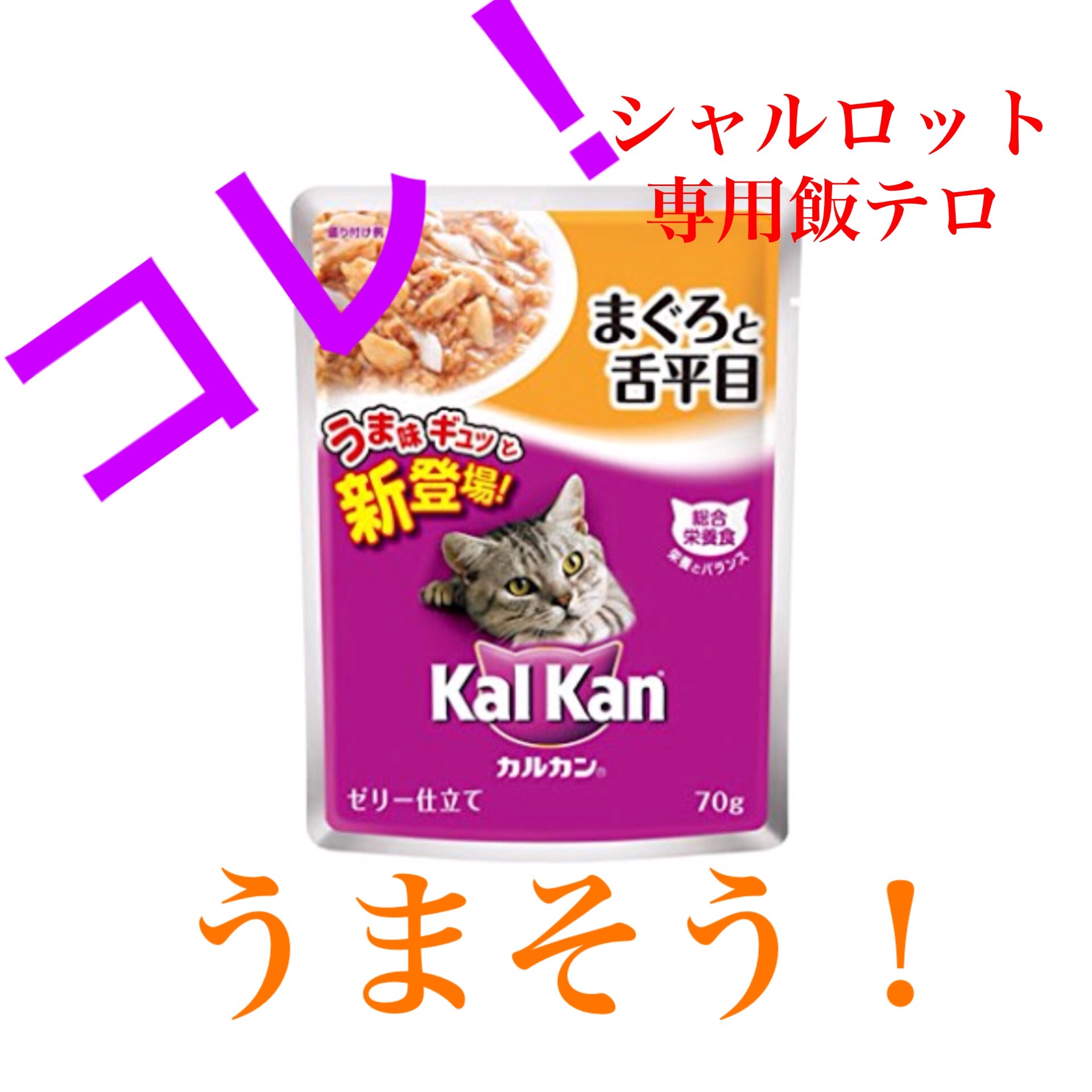 f:id:kemoxxxxx:20180123005339j:image