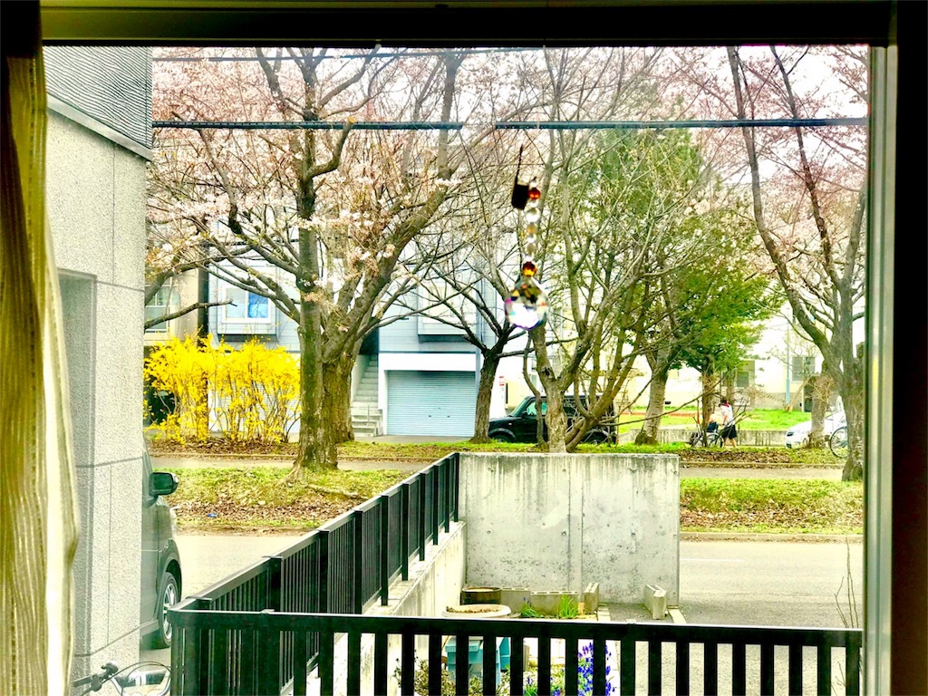 f:id:kemoxxxxx:20180430152913j:image