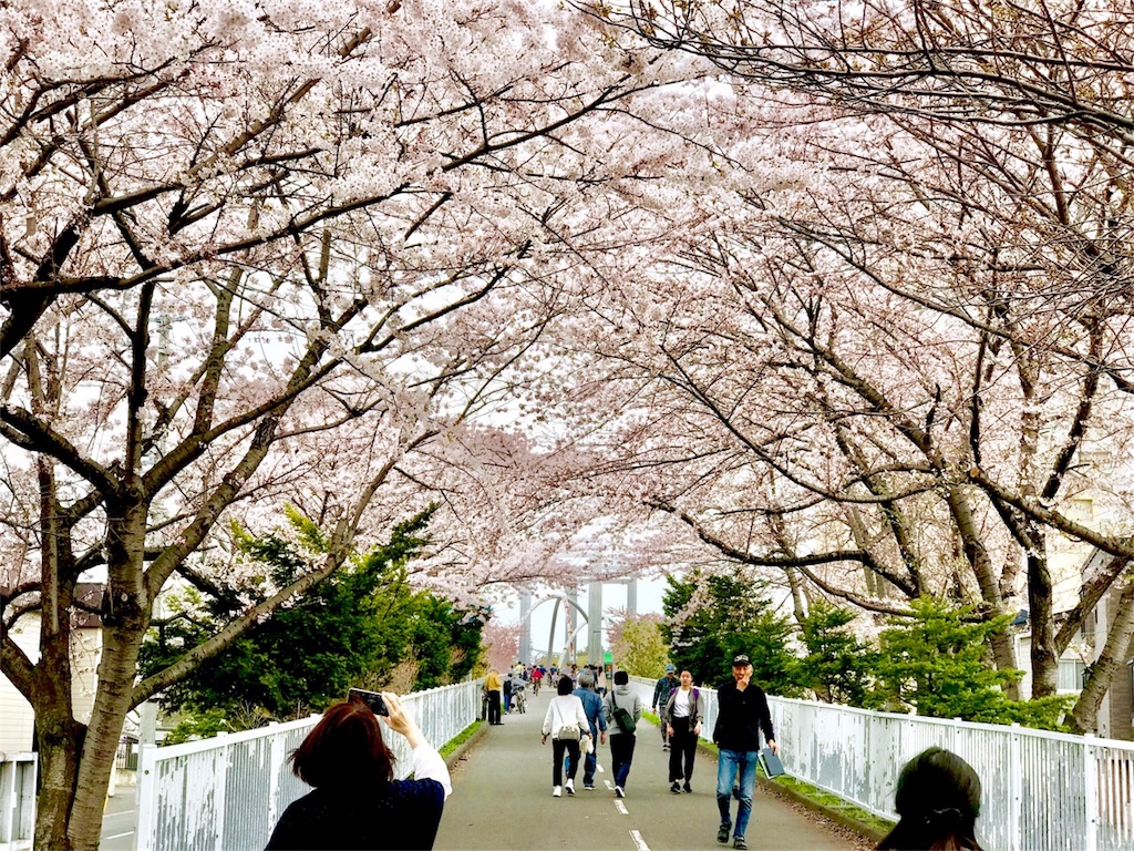f:id:kemoxxxxx:20180430153015j:image