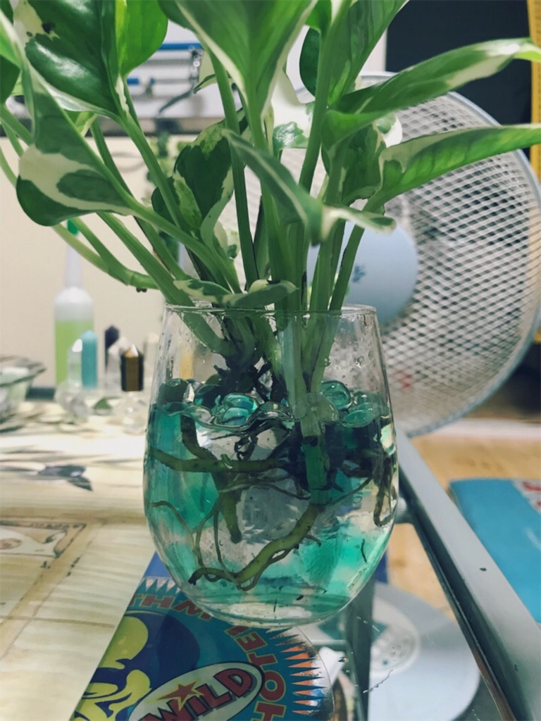 f:id:kemoxxxxx:20180708183212j:image f:id:kemoxxxxx:20180708183212j:image