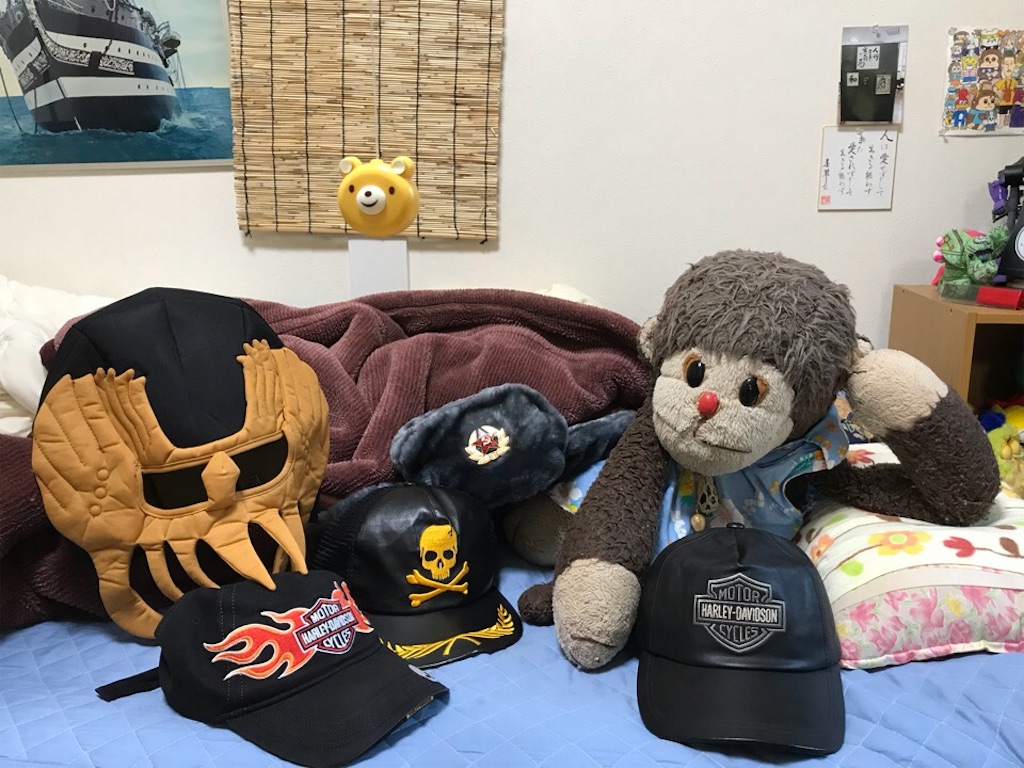 f:id:kemoxxxxx:20180913170657j:image