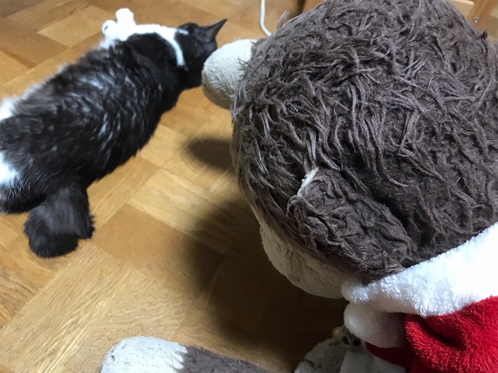 f:id:kemoxxxxx:20190101030406j:image