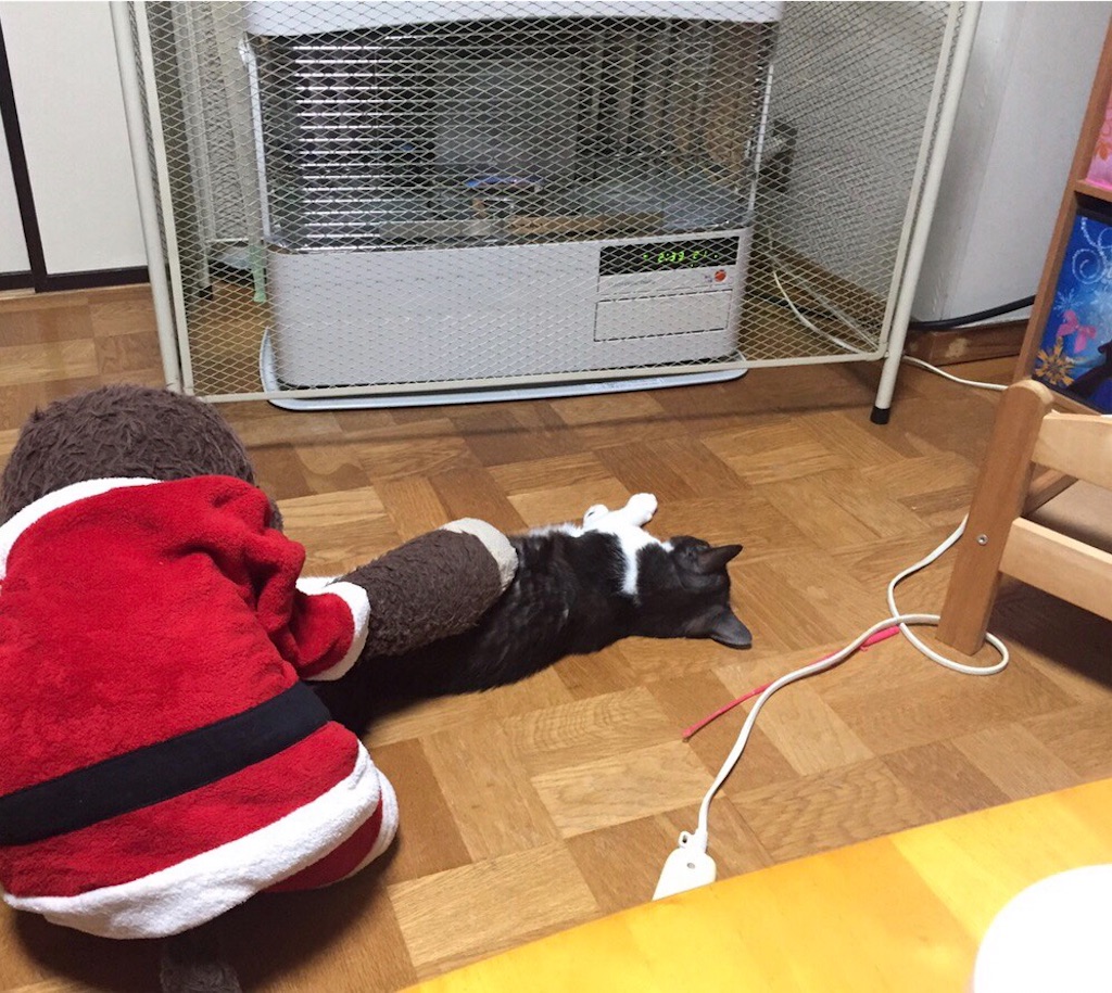 f:id:kemoxxxxx:20190101030428j:image