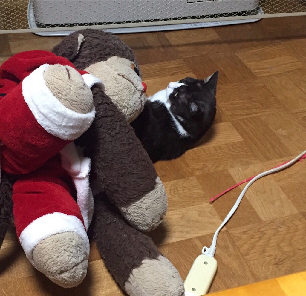 f:id:kemoxxxxx:20190101030506j:image
