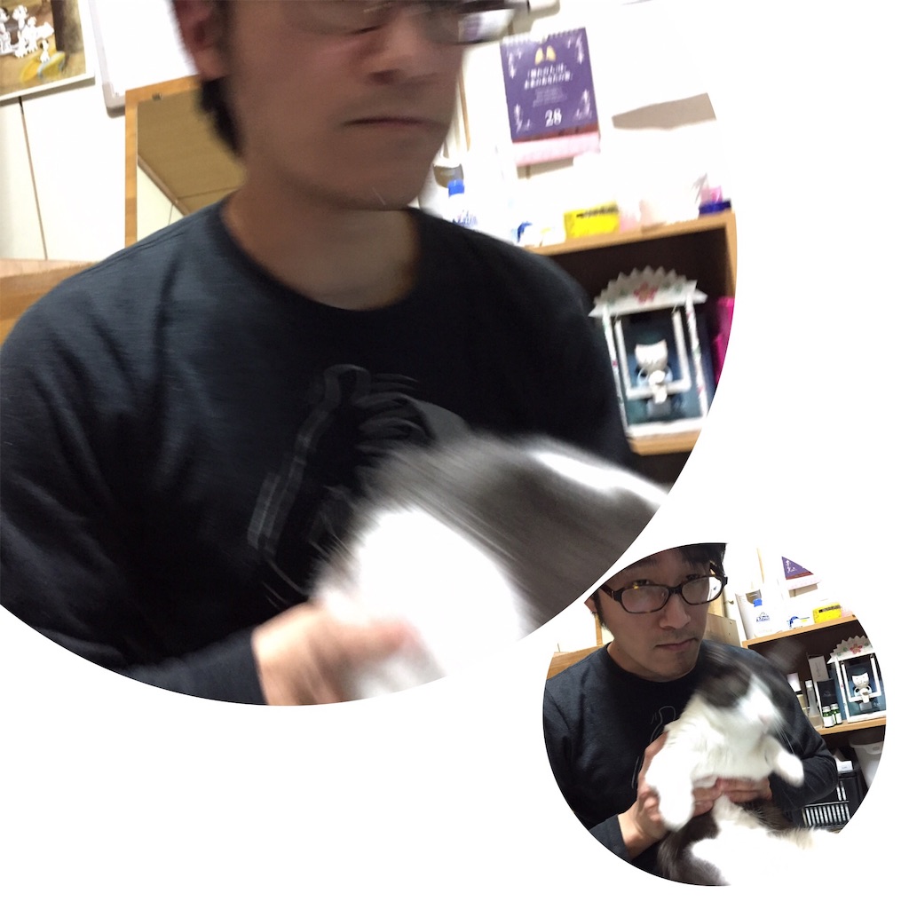 f:id:kemoxxxxx:20190102194055j:image f:id:kemoxxxxx:20190102194055j:image