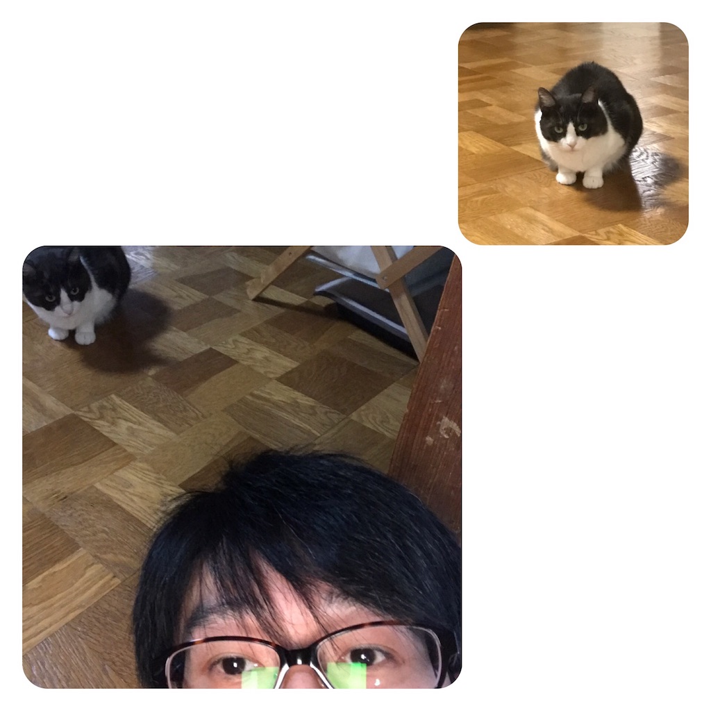 f:id:kemoxxxxx:20190102195519j:image f:id:kemoxxxxx:20190102195519j:image