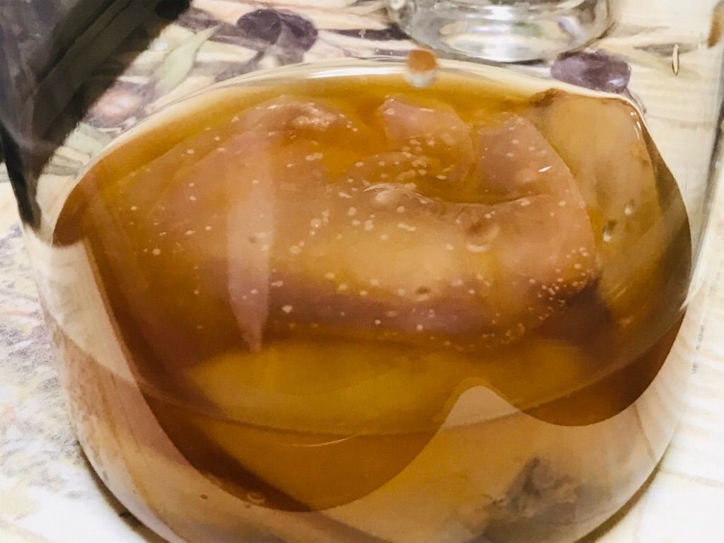 f:id:kemoxxxxx:20190318134814j:image