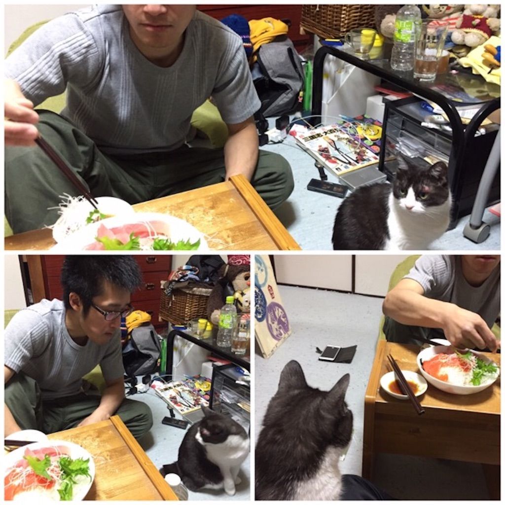 f:id:kemoxxxxx:20200119104319j:image