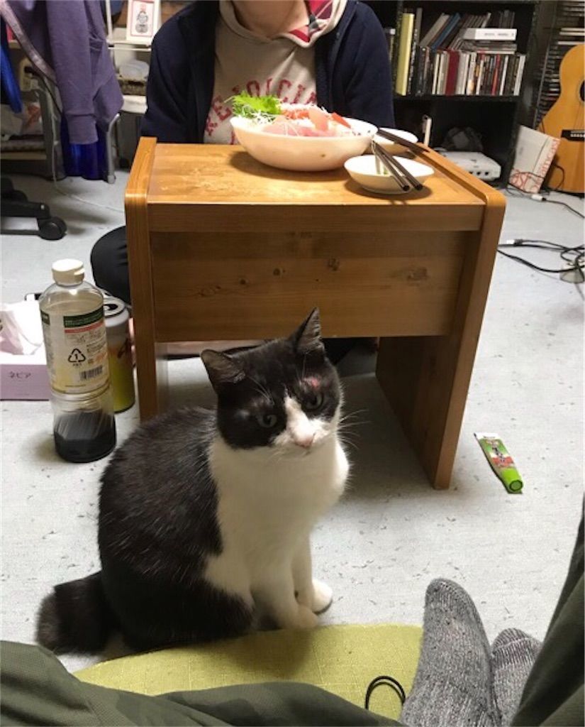 f:id:kemoxxxxx:20200119194920j:image