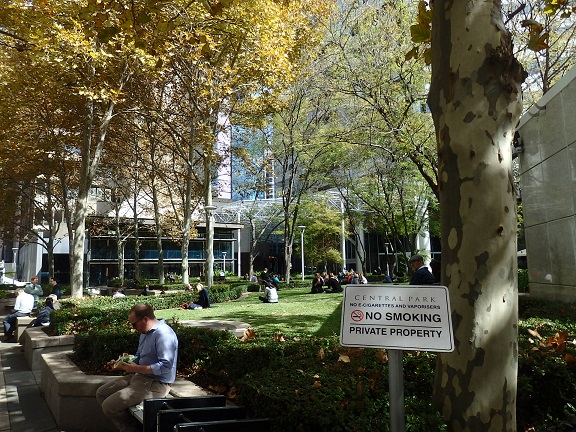 マリーSTモール