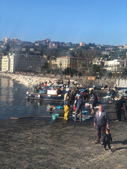 フェリーターミナル近くの漁港