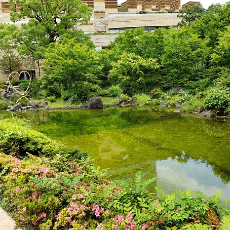 f:id:kemu-no-work2020:20200526084757j:plain f:id:kemu-no-work2020:20200526084757j:plain