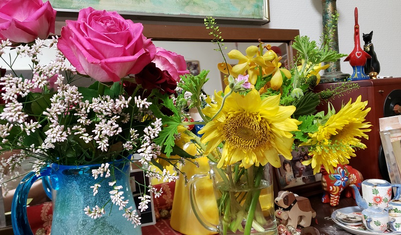 f:id:kemu-no-work2020:20200604084310j:plain f:id:kemu-no-work2020:20200604084310j:plain