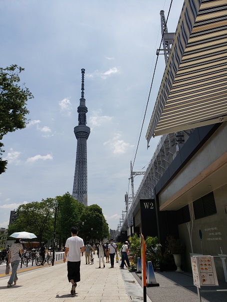 f:id:kemu-no-work2020:20200620114919j:plain f:id:kemu-no-work2020:20200620114919j:plain