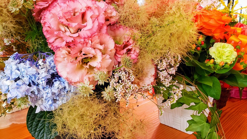 f:id:kemu-no-work2020:20200625063438j:plain f:id:kemu-no-work2020:20200625063438j:plain