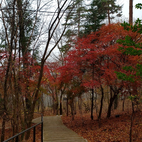 f:id:kemu-no-work2020:20201130195020j:plain