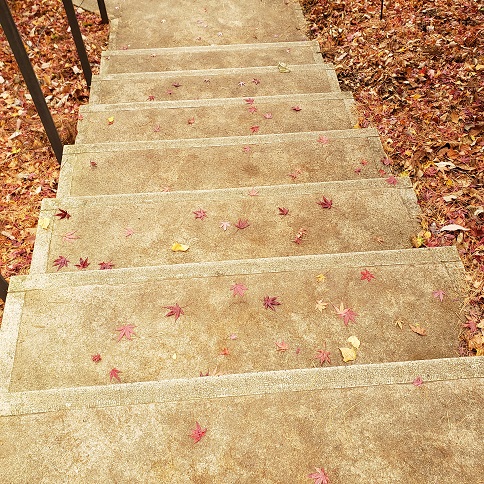 f:id:kemu-no-work2020:20201130195216j:plain