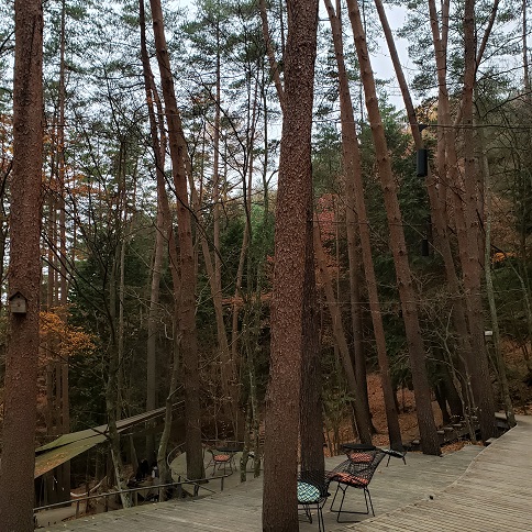 f:id:kemu-no-work2020:20201130195735j:plain