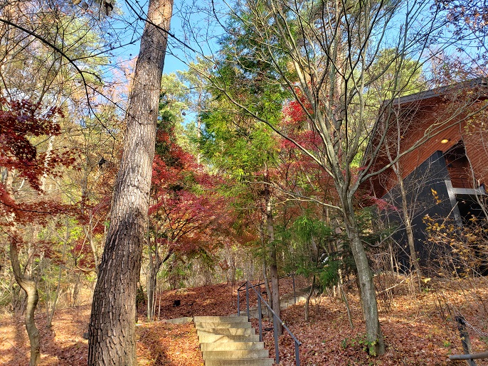 f:id:kemu-no-work2020:20201130195843j:plain