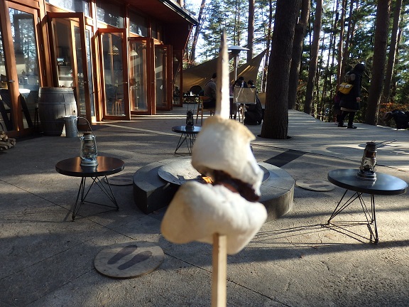 f:id:kemu-no-work2020:20201130201922j:plain