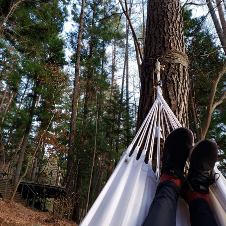 f:id:kemu-no-work2020:20201130205019j:plain