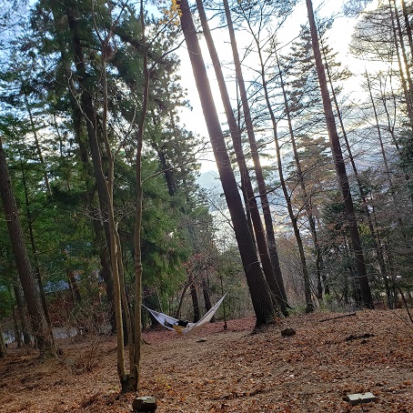 f:id:kemu-no-work2020:20201130205708j:plain