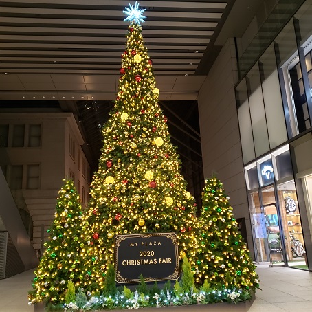 f:id:kemu-no-work2020:20201208091053j:plain