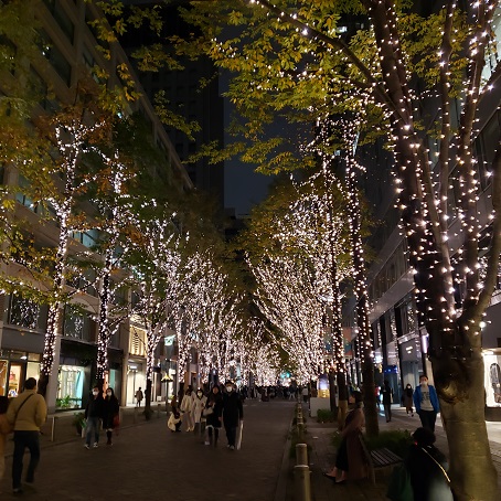 f:id:kemu-no-work2020:20201208091328j:plain