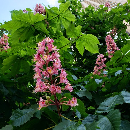 f:id:kemu-no-work2020:20210503094059j:plain