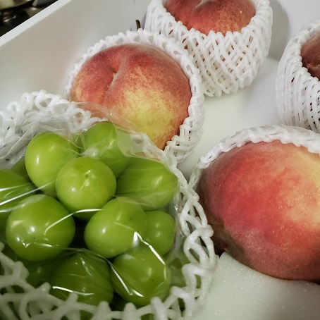 f:id:kemu-no-work2020:20210814101028j:plain