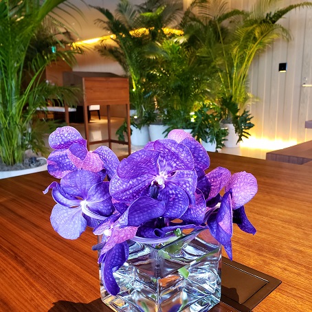 f:id:kemu-no-work2020:20210828110042j:plain